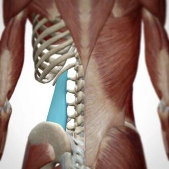A dor pode aparecer em várias áreas das costas