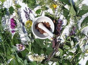 ervas para o tratamento da osteocondrose